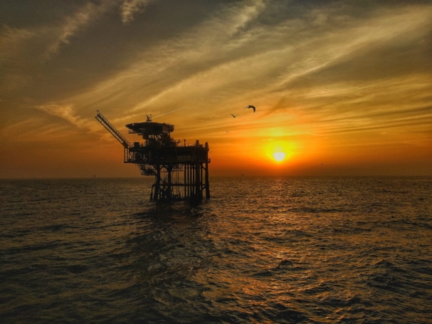 WhatsApp Image 2023-01-31 at 12.32.45 PM